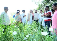 दुर्ग: भाजपा नेता के खेत में अफीम की खेती पर बवाल, विनायक ताम्रकर पार्टी से निलंबित